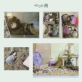 園芸養土・薬品 manicocopuyu 楽天市場】培養土 木から生まれた土 1.5L ハイポネックス 観葉